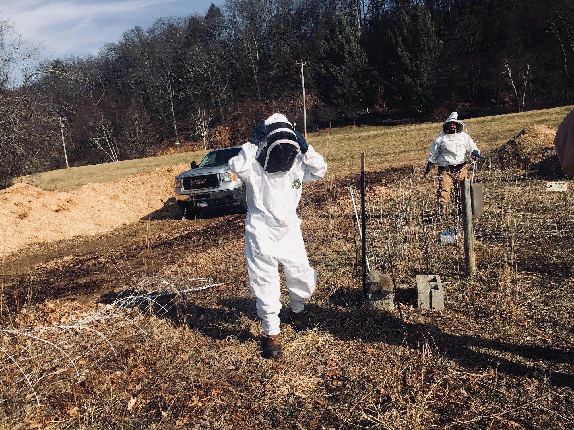 Beekeepers walking through the apiary at Hilltop Apiaries