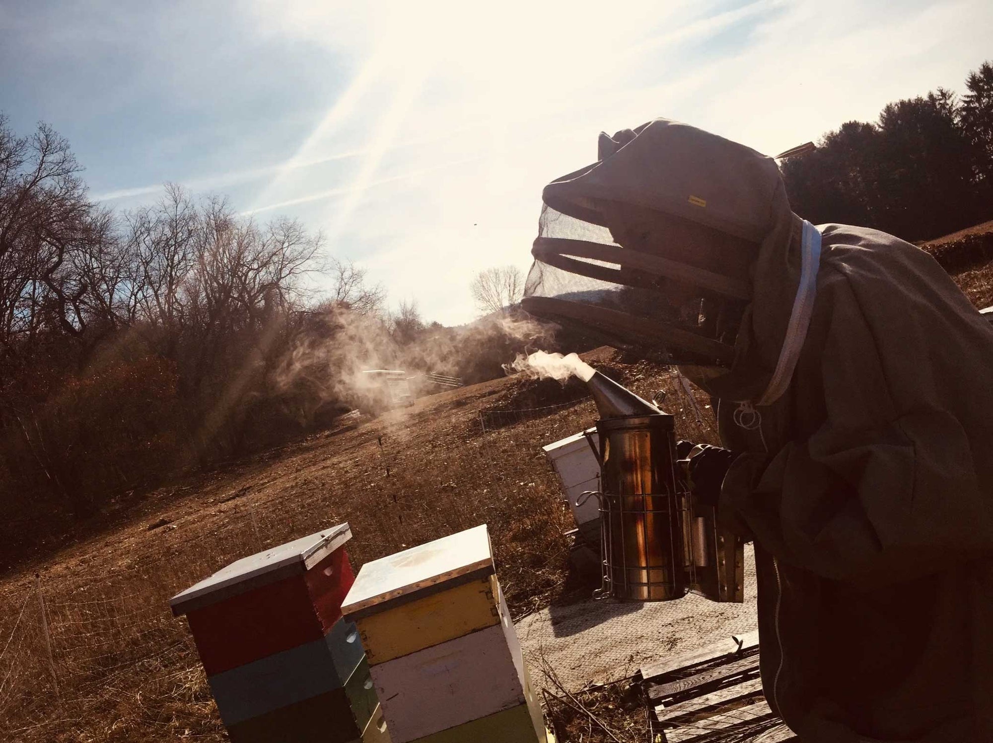 Beekeeper at Hilltop Apiaries tending to the bees at sunset
