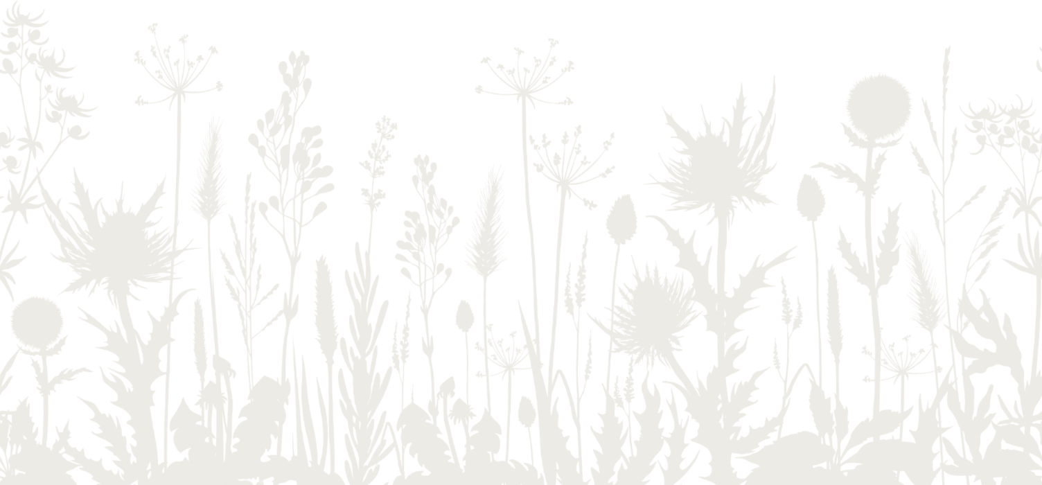 Pattern of wildflowers' silhouette