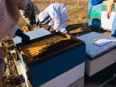 Connecticut Beekeepers Association